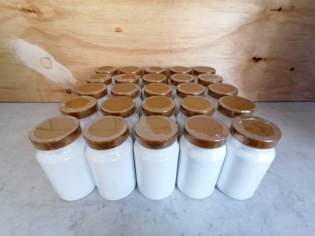 Moringa Bulk - 28 pieces x 60 Capsules Bottle (Resellers)