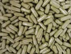 Moringa Oelifera 1200 Capsules wholesale